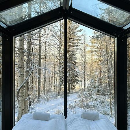 Sky Lodging ~ Sleeping Under The Stars Rovaniemi Eksteriør bilde