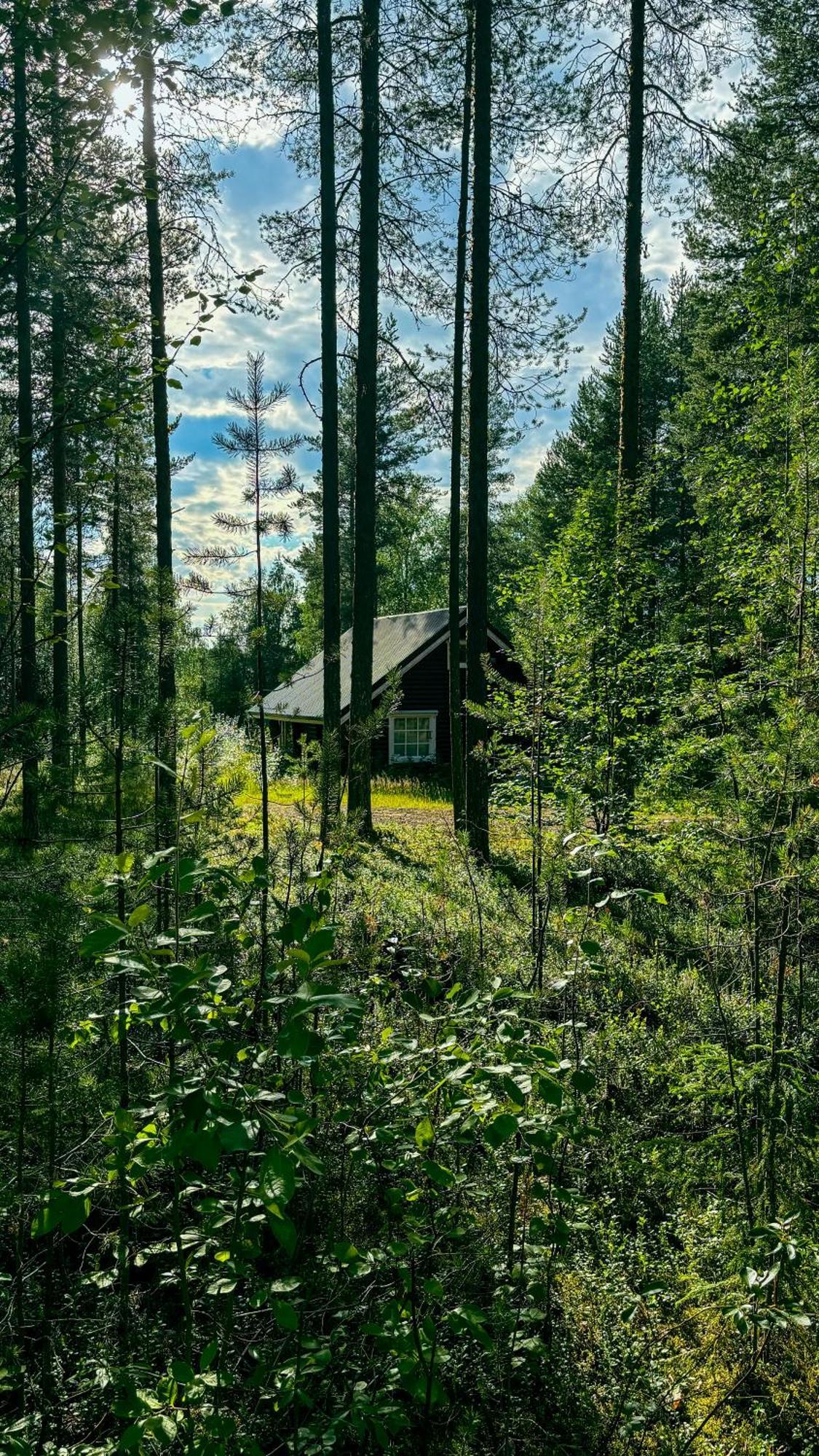 Sky Lodging ~ Sleeping Under The Stars Rovaniemi Eksteriør bilde