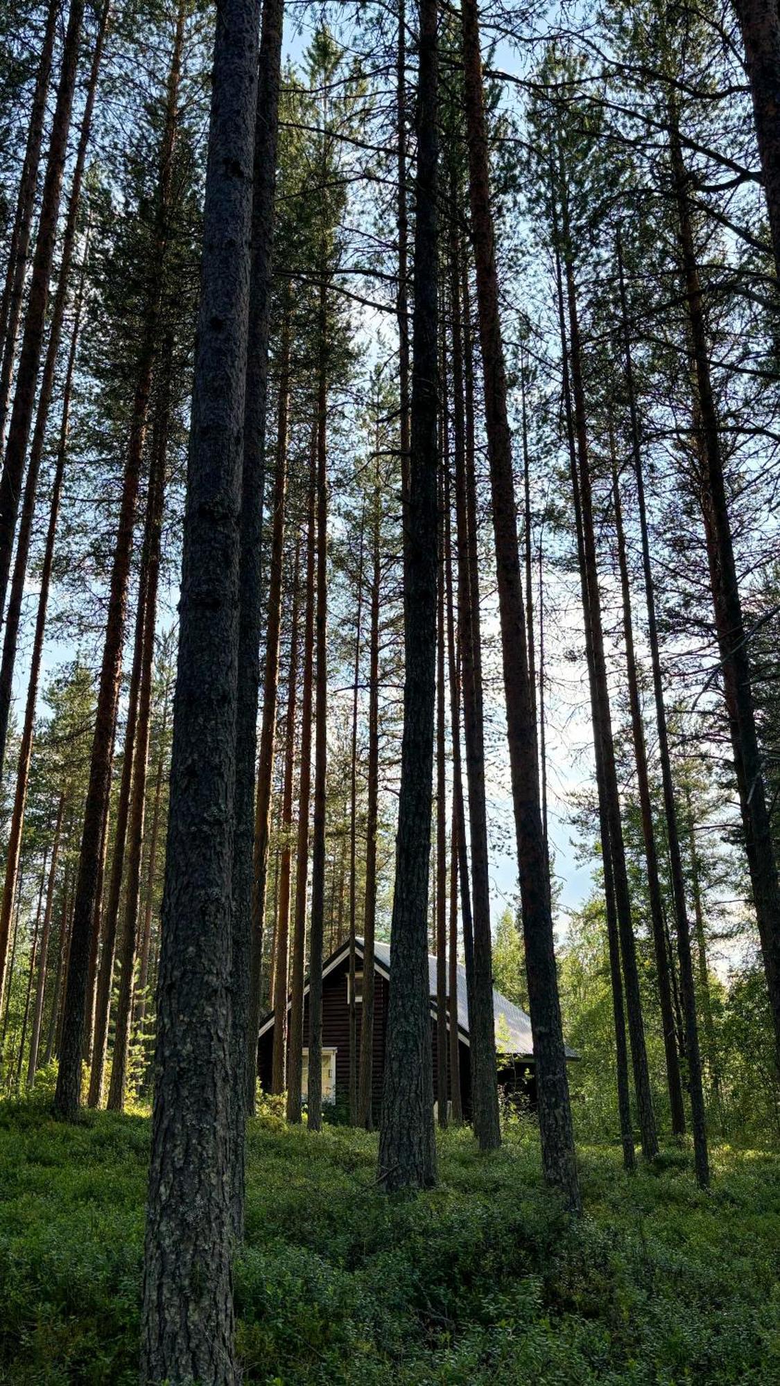 Sky Lodging ~ Sleeping Under The Stars Rovaniemi Eksteriør bilde