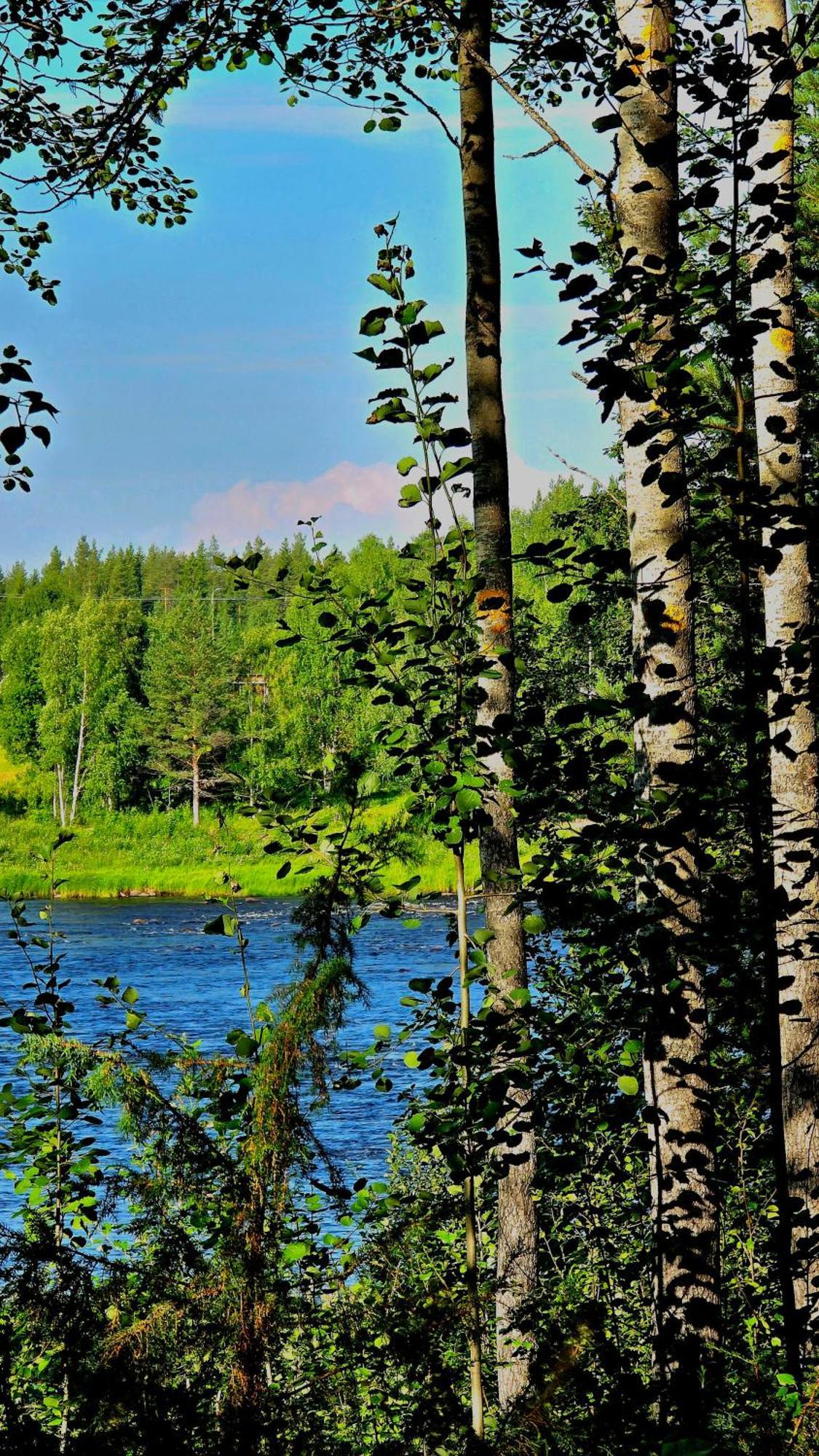 Sky Lodging ~ Sleeping Under The Stars Rovaniemi Eksteriør bilde