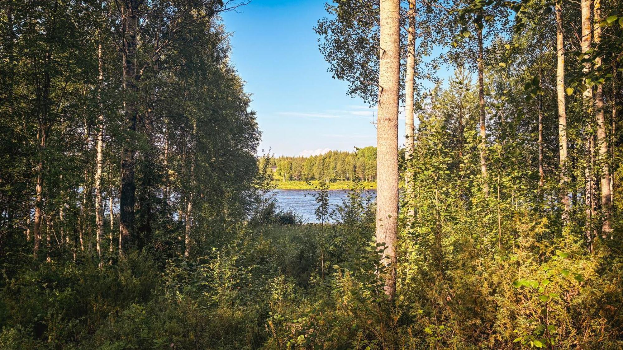 Sky Lodging ~ Sleeping Under The Stars Rovaniemi Eksteriør bilde