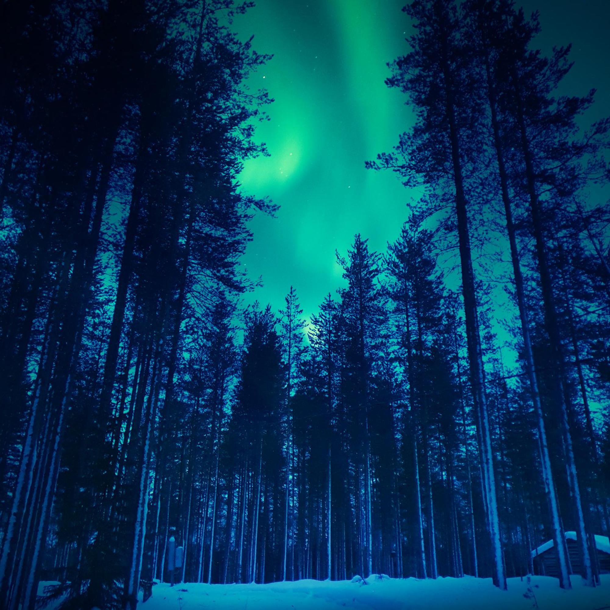 Sky Lodging ~ Sleeping Under The Stars Rovaniemi Eksteriør bilde